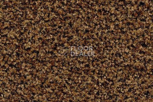 Грязезащитные покрытия Forbo Coral Brush 5716 masala brown фото 1 | FLOORDEALER